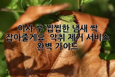 이사 후 찝찝한 냄새, 싹 잡아줄게요! ✨ 악취 제거 서비스 완벽 가이드