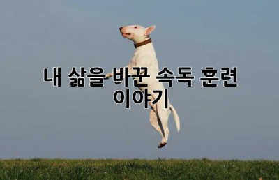 내 삶을 바꾼 속독 훈련 이야기 ✨