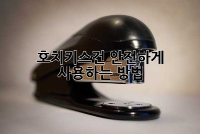 호치키스건 안전하게 사용하는 방법