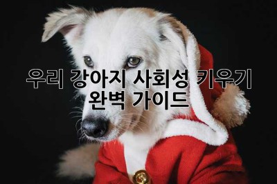 우리 강아지, 사회성 키우기 완벽 가이드