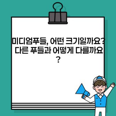 미디엄푸들 완벽 가이드: 궁금증 해소와 함께하는 행복한 푸들 생활