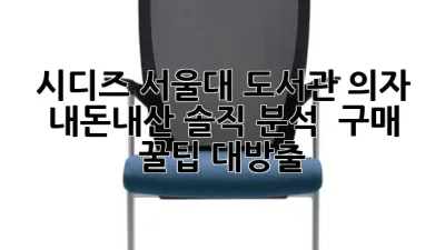 시디즈 서울대 도서관 의자, 내돈내산 솔직 분석 & 구매 꿀팁 대방출!