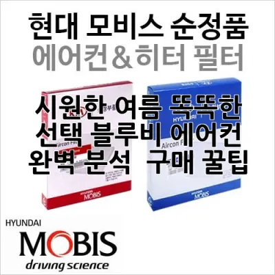 시원한 여름, 똑똑한 선택! 블루비 에어컨 완벽 분석 & 구매 꿀팁 ❄️