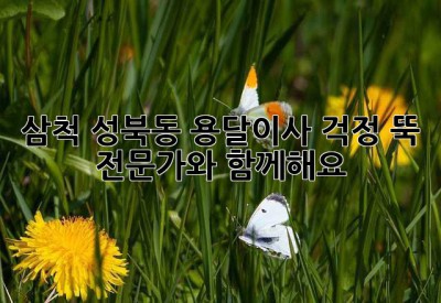 삼척 성북동 용달이사: 걱정 뚝! 전문가와 함께해요