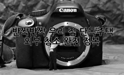 반짝반짝✨ 우리 집! 단독주택 외부 청소 완전 정복🏡