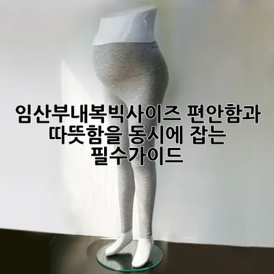 임산부내복빅사이즈, 편안함과 따뜻함을 동시에 잡는 필수가이드!